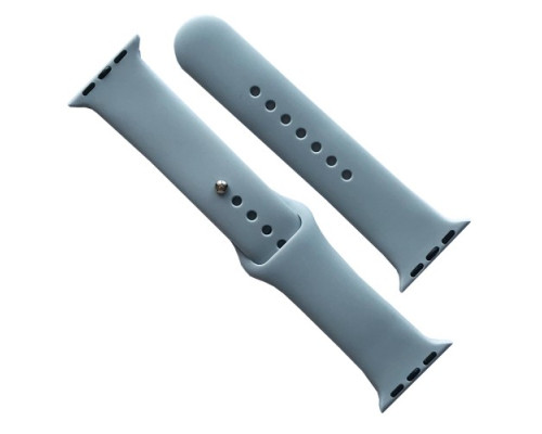 Ремінець для Apple Watch Silicone 38/40/41 2в1 (26) Mint gam mag-2000001608081141635