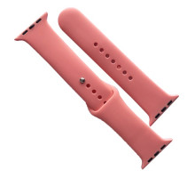 Ремінець для Apple Watch Silicone 42/44/45/46/49 2в1 (42) Flamingo mag-2000001608661141686