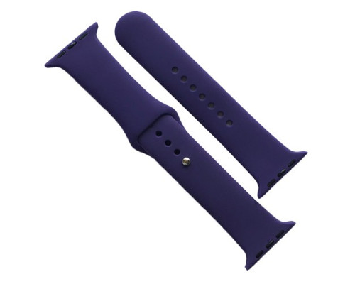Ремінець для Apple Watch Silicone 42/44/45/46/49 2в1 (77) Amethyst mag-2000001608890141707