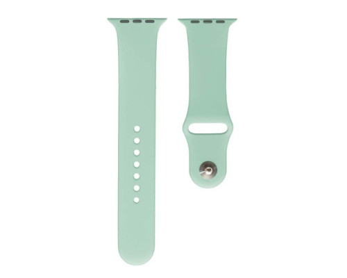 Ремінець для Apple Watch Silicone 42/44mm S (17) Mint mag-200000105561857628