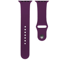 Ремінець для Apple Watch Silicone 42/44mm S (45) Purple mag-200000103749224560