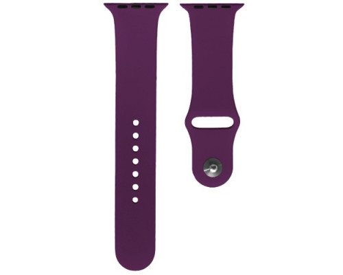 Ремінець для Apple Watch Silicone 42/44mm S (45) Purple mag-200000103749224560