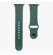 Ремінець для Apple Watch Silicone 42/44mm S (62) Cactus mag-200000118513157579