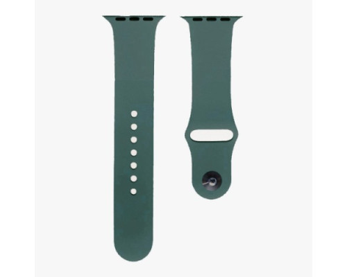 Ремінець для Apple Watch Silicone 42/44mm S (62) Cactus mag-200000118513157579