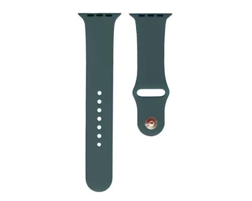 Ремінець для Apple Watch Silicone 38/40mm S (75) Pistachio mag-2000001290125145425