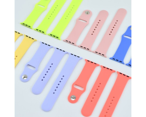 Ремінець для Apple Watch Silicone 38/40/41 2в1 (62) Cactus mag-2000001608333141657