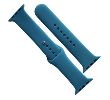 Ремінець для Apple Watch Silicone 38/40/41 2в1 (62) Cactus mag-2000001608333141657