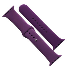 Ремінець для Apple Watch Silicone 42/44/45/46/49 2в1 (45) Purple mag-2000001608685141687