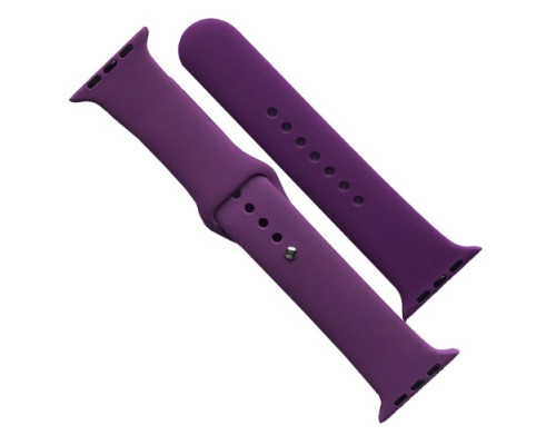 Ремінець для Apple Watch Silicone 42/44/45/46/49 2в1 (45) Purple mag-2000001608685141687
