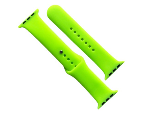 Ремінець для Apple Watch Silicone 42/44/45/46/49 2в1 (59) Party green mag-2000001608791141698