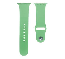 Ремінець для Apple Watch Silicone 42/44mm S (50) Spearmint mag-200000103753924564