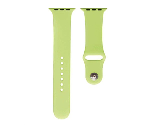 Ремінець для Apple Watch Silicone 38/40mm S (67) avocado mag-2000001290903136101