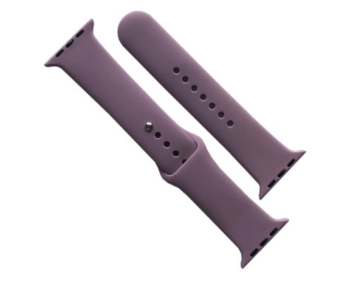 Ремінець для Apple Watch Silicone 38/40/41 2в1 (66) Lilac pride mag-2000001608357141659