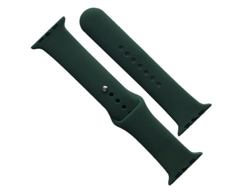 Ремінець для Apple Watch Silicone 42/44/45/46/49 2в1 (48) Virid mag-2000001608708141689
