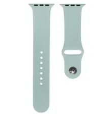 Ремінець для Apple Watch Silicone 42/44mm M (43) Light blue mag-2000001032954145398