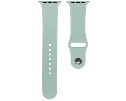 Ремінець для Apple Watch Silicone 42/44mm M (43) Light blue mag-2000001032954145398