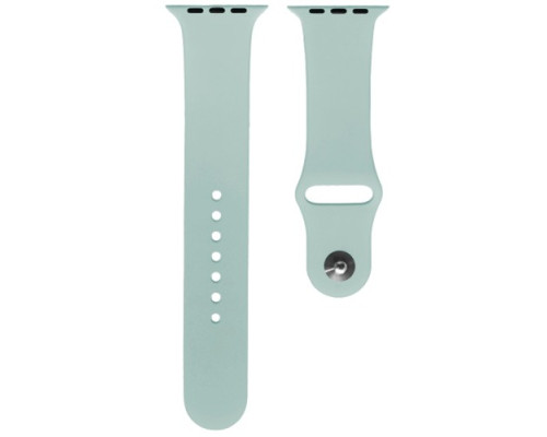 Ремінець для Apple Watch Silicone 38/40mm M (43) Light blue mag-2000001290347138846