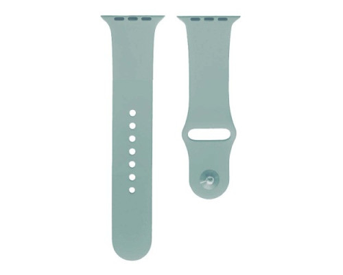 Ремінець для Apple Watch Silicone 42/44mm M (60) Light cyan mag-2000001290774134670