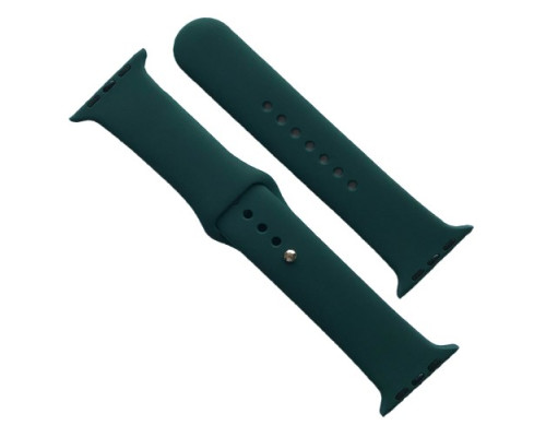 Ремінець для Apple Watch Silicone 42/44/45/46/49 2в1 (49) Forest green mag-2000001608715141690