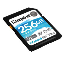 SDXC (UHS-1 U3) Kingston Canvas Go Plus 256Gb class 10 V30 (R170MB/s, W90MB/s) (SDG3/256GB)