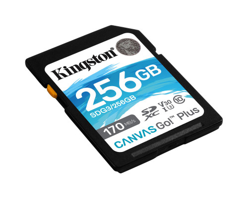 SDXC (UHS-1 U3) Kingston Canvas Go Plus 256Gb class 10 V30 (R170MB/s, W90MB/s) (SDG3/256GB)