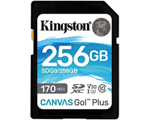 SDXC (UHS-1 U3) Kingston Canvas Go Plus 256Gb class 10 V30 (R170MB/s, W90MB/s) (SDG3/256GB)