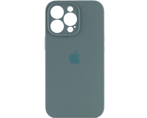 Чохол для смартфона Silicone Full Case AA Camera Protect for Apple iPhone 16 Pro Max 46,Pine Green