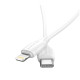 Кабель BOROFONE BX19 Double-speed PD charging data cable for iP 2m White
