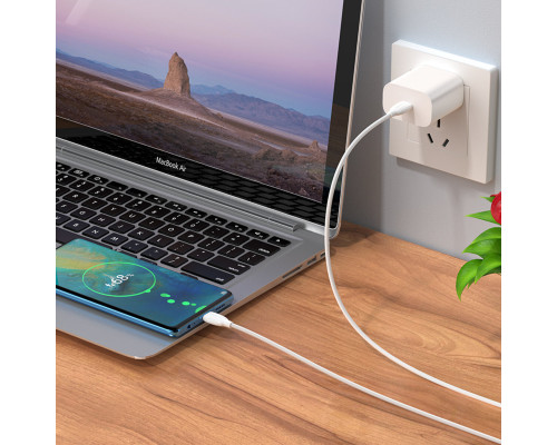 Кабель BOROFONE BX19 Type-C to Type-C 3A, 60W, 1m, PVC, PVC connectors, White