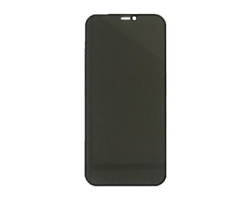 Захисне скло PRIVACY GLASS (Анти-шпигун) for iPhone XR/11 чорне тех. пак. mag-200000130855462009