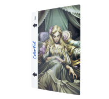 Гідрогелева плівка для задньої частини ColorFul DI04 для плоттера PLS-00-00092381
