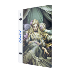 Гідрогелева плівка для задньої частини ColorFul DI04 для плоттера PLS-00-00092381
