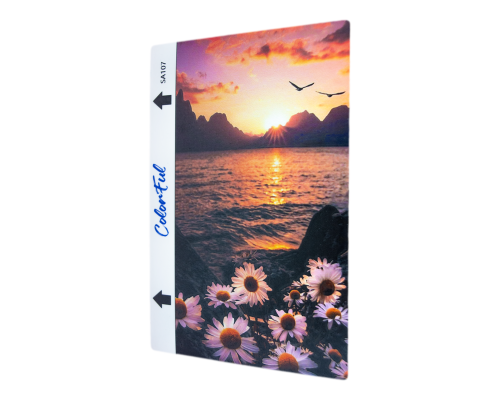 Гідрогелева плівка для задньої частини ColorFul SA107 для плоттера PLS-00-00092403