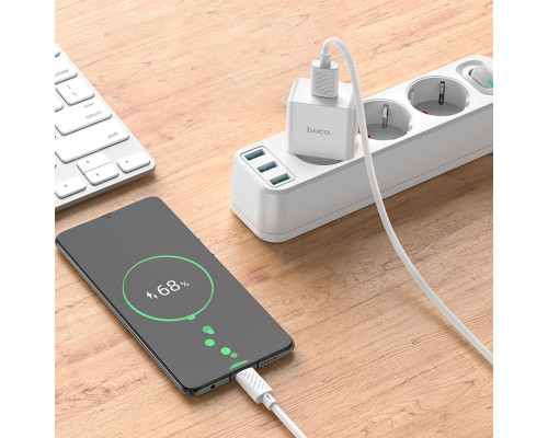 Мережевий зарядний пристрій HOCO C106A Leisure single port charger set(Micro) 10.5W White (6931474783905)
