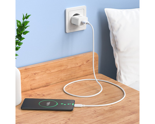 Мережевий зарядний пристрій HOCO C106A Leisure single port charger set(Micro) 10.5W White (6931474783905)