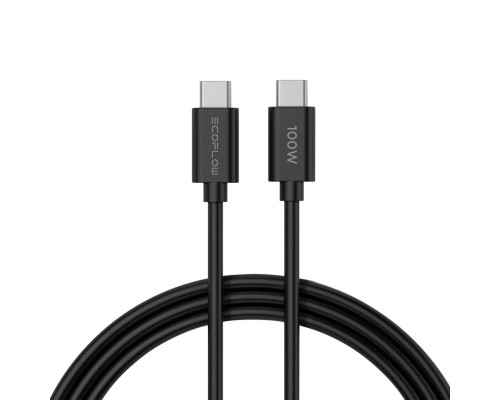 Мережевий зарядний пристрій EcoFlow RAPID 65W GaN Charger with 100W Cable (EFA-65W-GAN-CHARGER-EU)